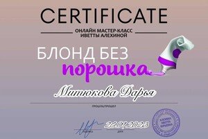 Диплом / сертификат №11 — Митюкова Дарья Ринатовна