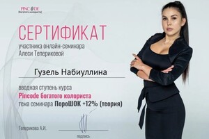 Диплом / сертификат №8 — Набиуллина Гузель Раисовна