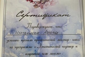 Диплом / сертификат №5 — Нуртдинова Азиза Альфатовна