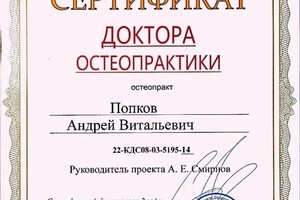 Диплом / сертификат №2 — Попков Андрей Витальевич