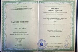 Диплом / сертификат №1 — Шакирова Элина Анфасовна