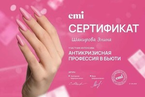 Диплом / сертификат №2 — Шакирова Элина Анфасовна