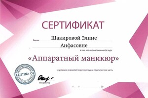 Диплом / сертификат №3 — Шакирова Элина Анфасовна