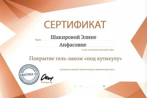 Диплом / сертификат №4 — Шакирова Элина Анфасовна