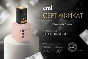 Диплом / сертификат №7 — Шакирова Элина Анфасовна