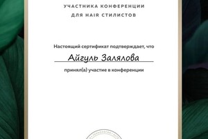 Диплом / сертификат №4 — Залялова Айгуль Ахатовна