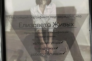 Диплом / сертификат №1 — Живых Елизавета Рустамовна