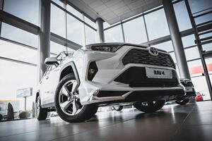 Съёмка для Toyota RAV4 Кубань — Бердников Александр Александрович