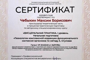 Диплом / сертификат №1 — Чебыкин Максим Борисович