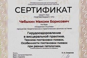 Диплом / сертификат №2 — Чебыкин Максим Борисович