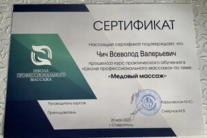 Диплом / сертификат №3 — Чич Всеволод Валерьевич