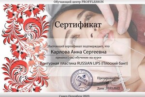 Диплом / сертификат №13 — Карлова Анна Сергеевна