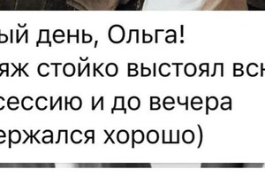 Диплом / сертификат №2 — Козаченко Ольга Николаевна