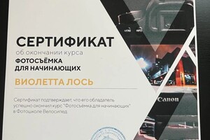 Диплом / сертификат №4 — Лось Виолетта Эдуардовна