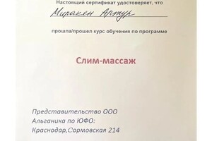 Диплом / сертификат №12 — Миракян Артур Павлович