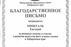 Диплом / сертификат №2 — Мишталь Евгений Анатольевич