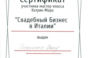 Диплом / сертификат №3 — Низиенко Иван Сергеевич