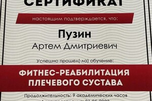 Диплом / сертификат №3 — Пузин Артём Дмитриевич