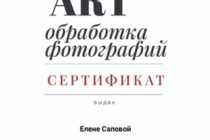 Диплом / сертификат №11 — Сапова Елена Анатольевна