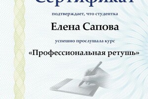 Диплом / сертификат №17 — Сапова Елена Анатольевна