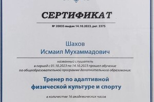 Диплом / сертификат №13 — Шахов Исмаил Мухаммадович