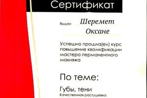 Диплом / сертификат №2 — Шеремет Оксана Борисовна