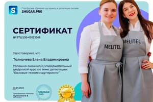 Диплом / сертификат №1 — Толмачева Елена Владимировна