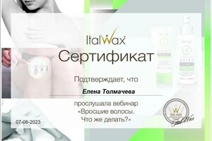 Диплом / сертификат №2 — Толмачева Елена Владимировна
