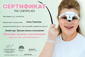 Диплом / сертификат №3 — Толмачева Елена Владимировна