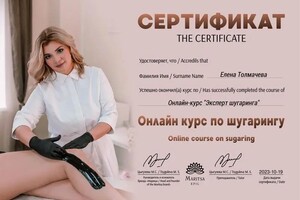 Диплом / сертификат №9 — Толмачева Елена Владимировна