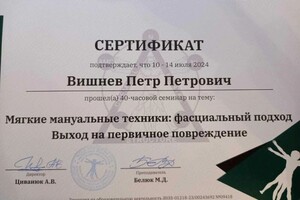 Диплом / сертификат №5 — Вишнев Петр Петрович