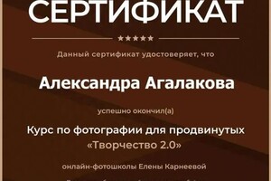 Диплом / сертификат №4 — Агалакова Александра Владимировна