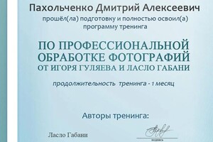 Диплом / сертификат №2 — Пахольченко Дмитрий Алексеевич