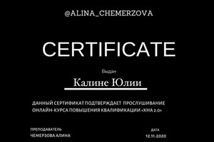 Диплом / сертификат №3 — Калина Юлия Юрьевна