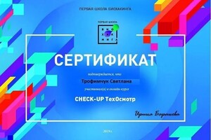 Диплом / сертификат №112 — Трофимчук Светлана Витальевна