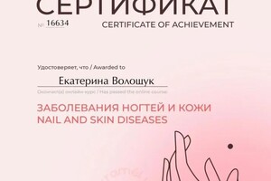 Диплом / сертификат №13 — Волощук Екатерина Владимировна