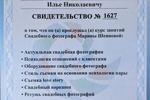 Диплом / сертификат №1 — Желдак Илья Николаевич