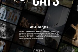 Диплом / сертификат №2 — Желдак Илья Николаевич