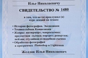 Диплом / сертификат №3 — Желдак Илья Николаевич