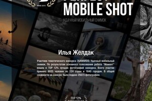 Диплом / сертификат №6 — Желдак Илья Николаевич