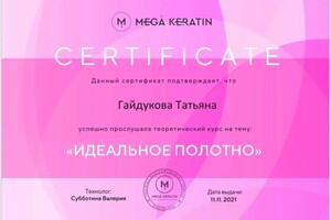 Диплом / сертификат №15 — Гайдукова Татьяна Валерьевна