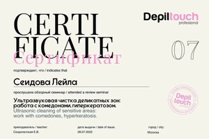 Диплом / сертификат №4 — Сеидова Лейла