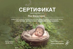 Диплом / сертификат №2 — Василенко Яна Михайловна