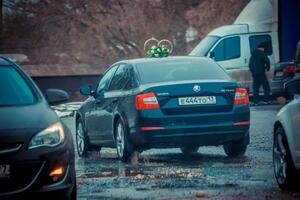 Портфолио №10 — Малышева Юлия