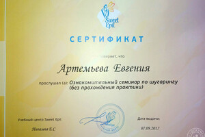 Сертификат участника семинара — Артемьева Евгения Валентиновна