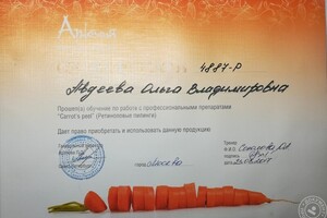 Диплом / сертификат №9 — Авдеева Ольга Владимировна