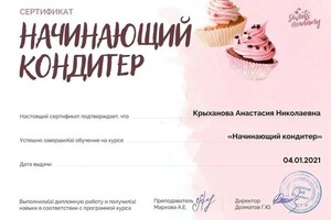 Диплом / сертификат №2 — Бабкина Анастасия Николаевна