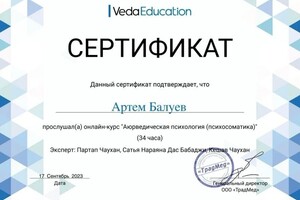 Диплом / сертификат №11 — Балуев Артём Валерьевич