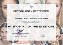 Диплом / сертификат №6 — Баркасова Ксения Сергеевна