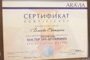 Диплом / сертификат №3 — Благова Екатерина Александровна